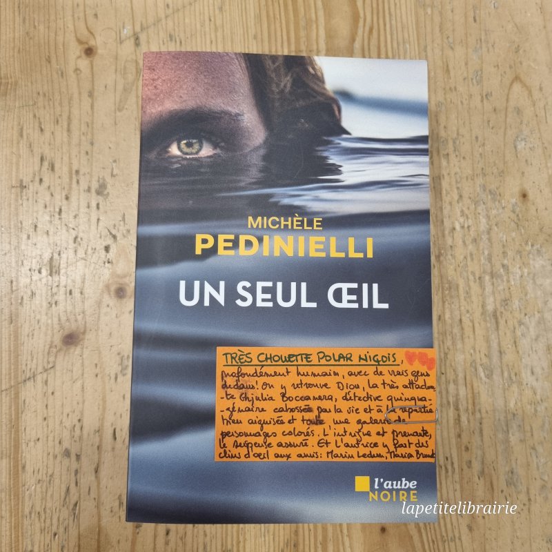 michèle pedinielli