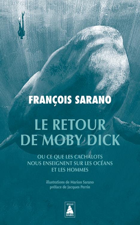 Le retour de Moby Dick ou ce que les cachalots nous enseignent sur les océans et les hommes