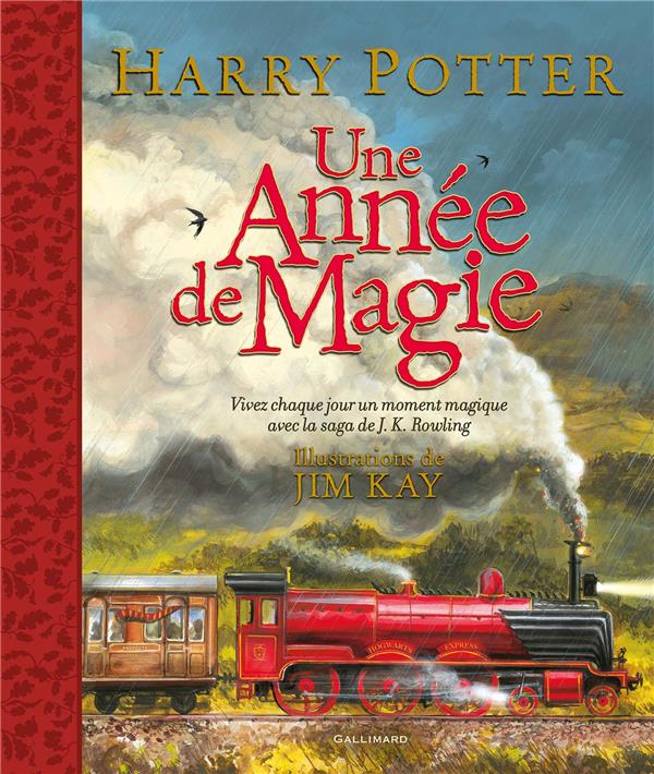 Harry Potter : une anne de magie