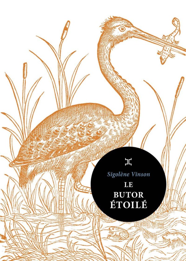 Le Butor étoilé Le Butor étoilé