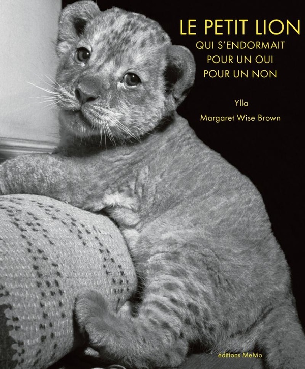 Le petit lion qui s'endormait pour un oui pour un non