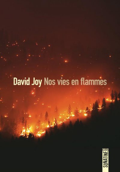 Nos vies en flammes - David JOY - Nouveautés