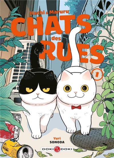 Hachi & Maruru : chats des rues t.1