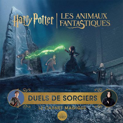 Harry Potter : Duels de sorciers
