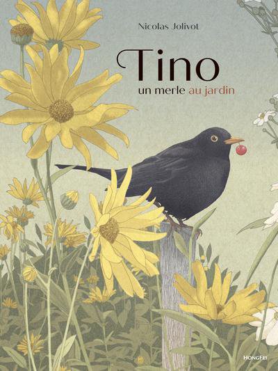 Tino, un merle au jardin