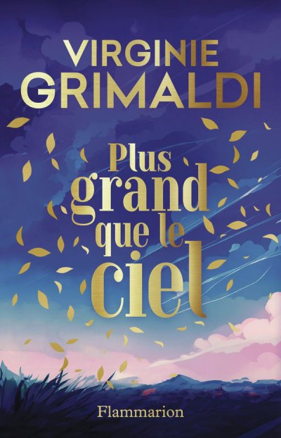 Plus grand que le ciel - Virginie Grimaldi - Nouveauts