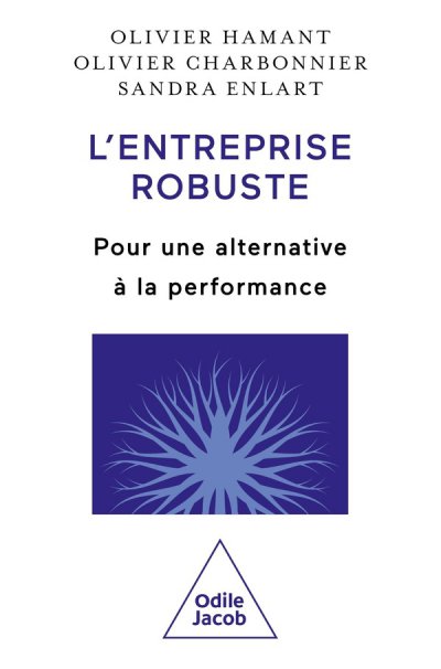 L'entreprise robuste : Pour une alternative  la performance