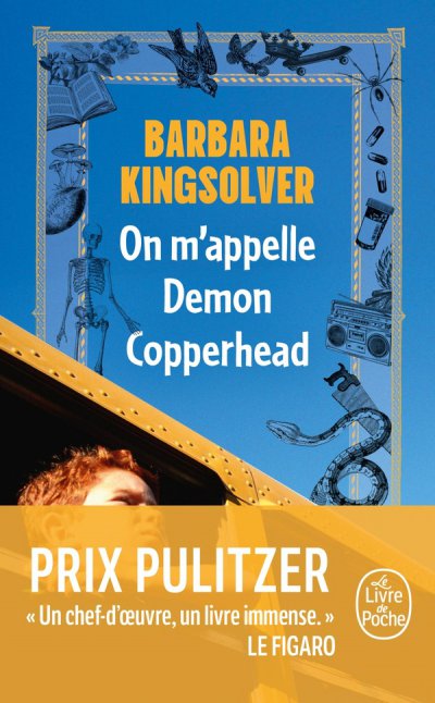 On m'appelle Demon Copperhead - Barbara Kingsolver - Nouveauts