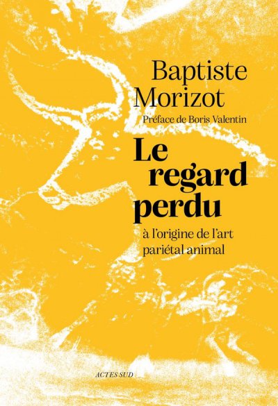 Le regard perdu : A l'origine de l'art parital animal - Baptiste Morizot - Nouveauts