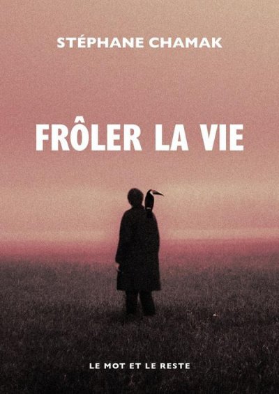 Fr�ler la vie - St�phane Chamak - Nouveaut�s